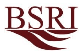 BSRI